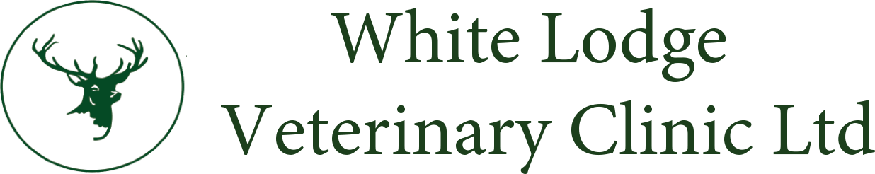 Visit White Lodge Vets home page